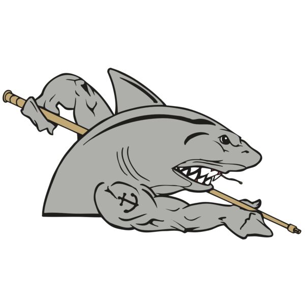 AR POOL 27 RC Thumbnail